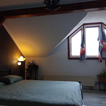 Apartmán Mansarda Kluž Exteriér fotografie